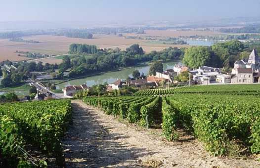 Le Clos Corbier Mareuil-sur-Ay Экстерьер фото